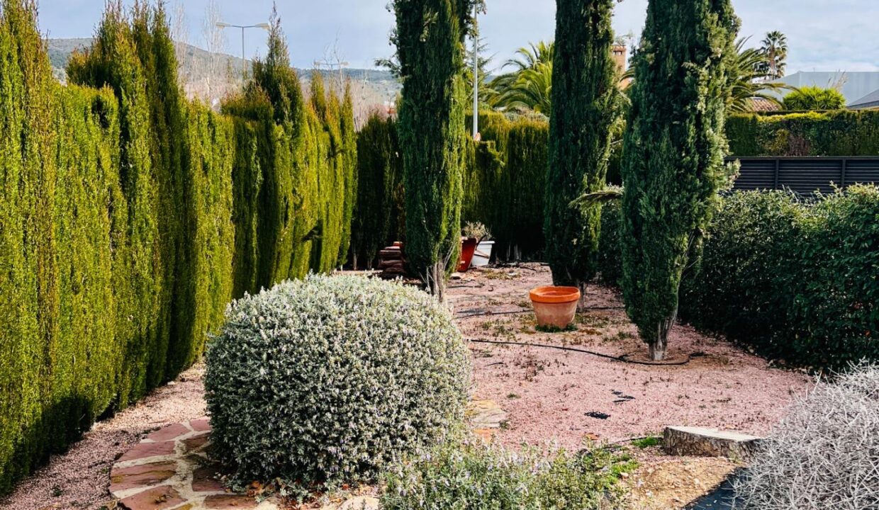 foto16