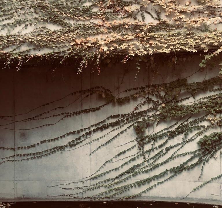 foto17