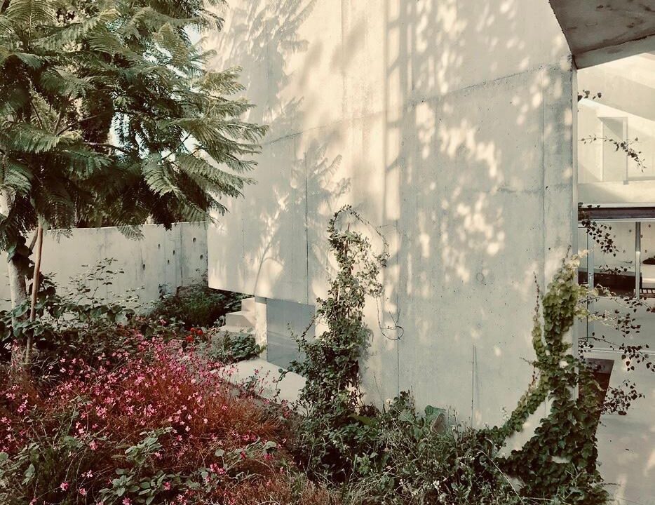 foto38