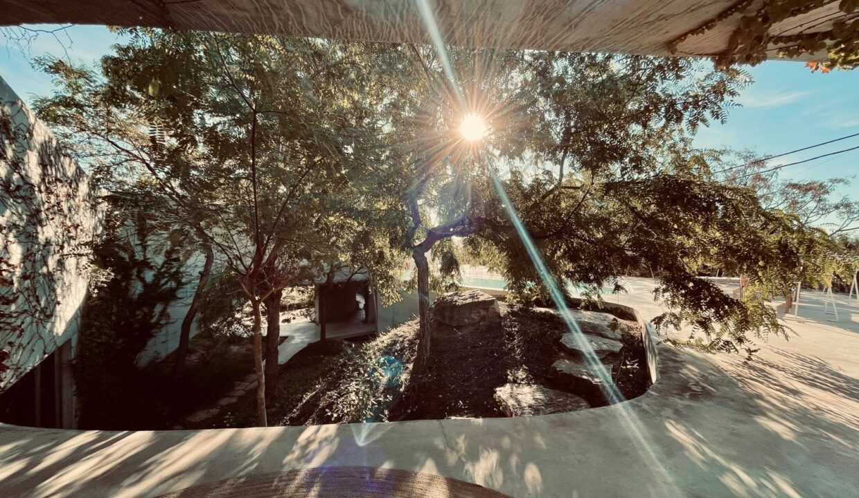 foto44