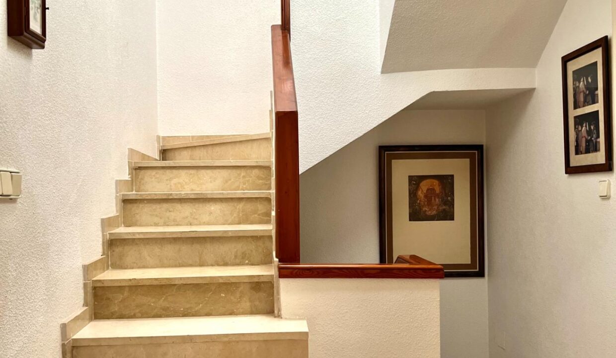 foto11
