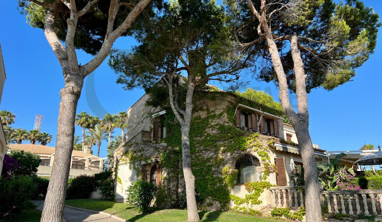 foto35